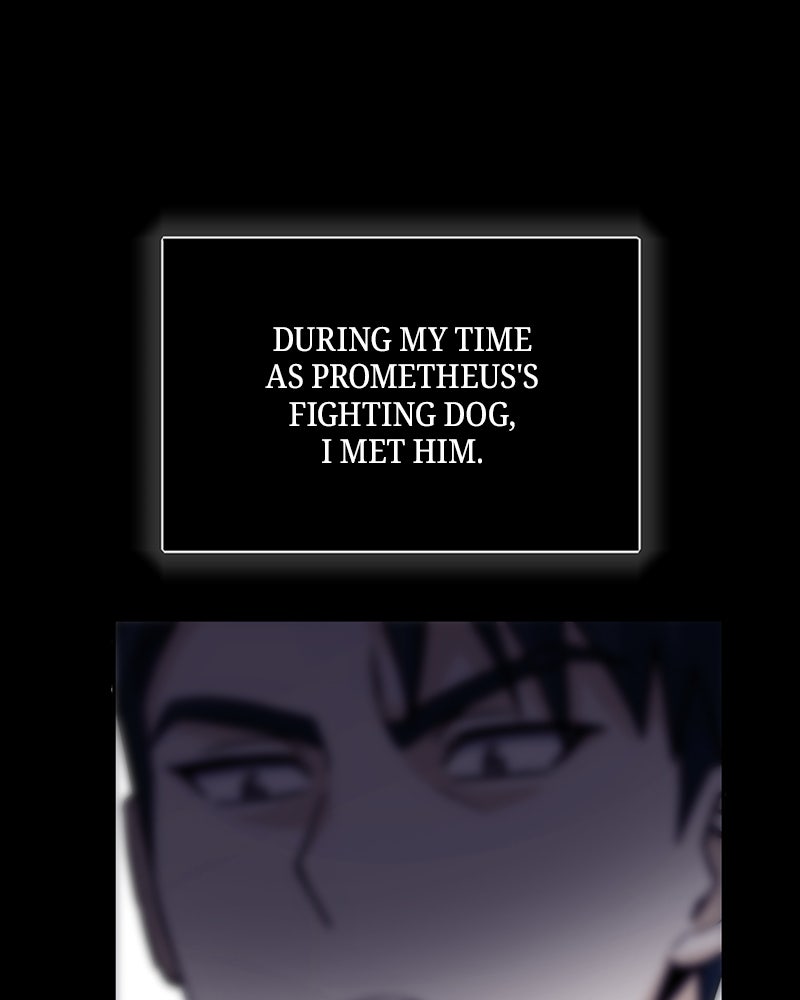 Read The Perfect Hybrid EN Manga Online