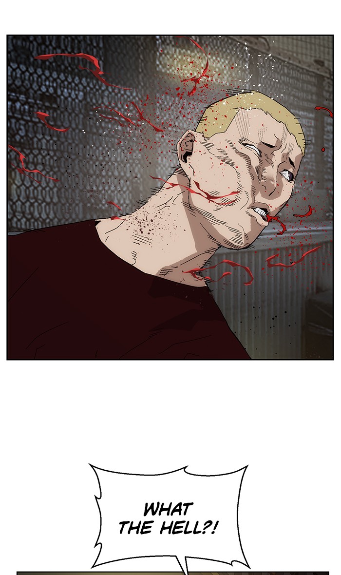 Read Weak Hero EN Manga Online