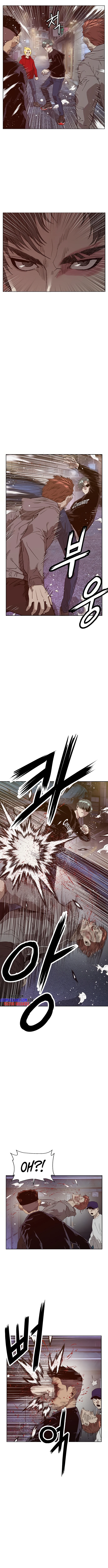 Read Weak Hero EN Manga Online