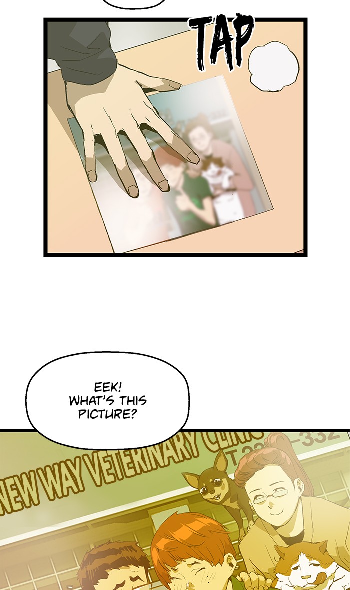 Read Weak Hero EN Manga Online