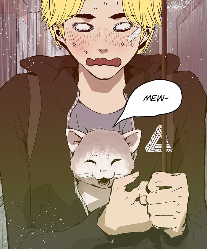 Read Weak Hero EN Manga Online