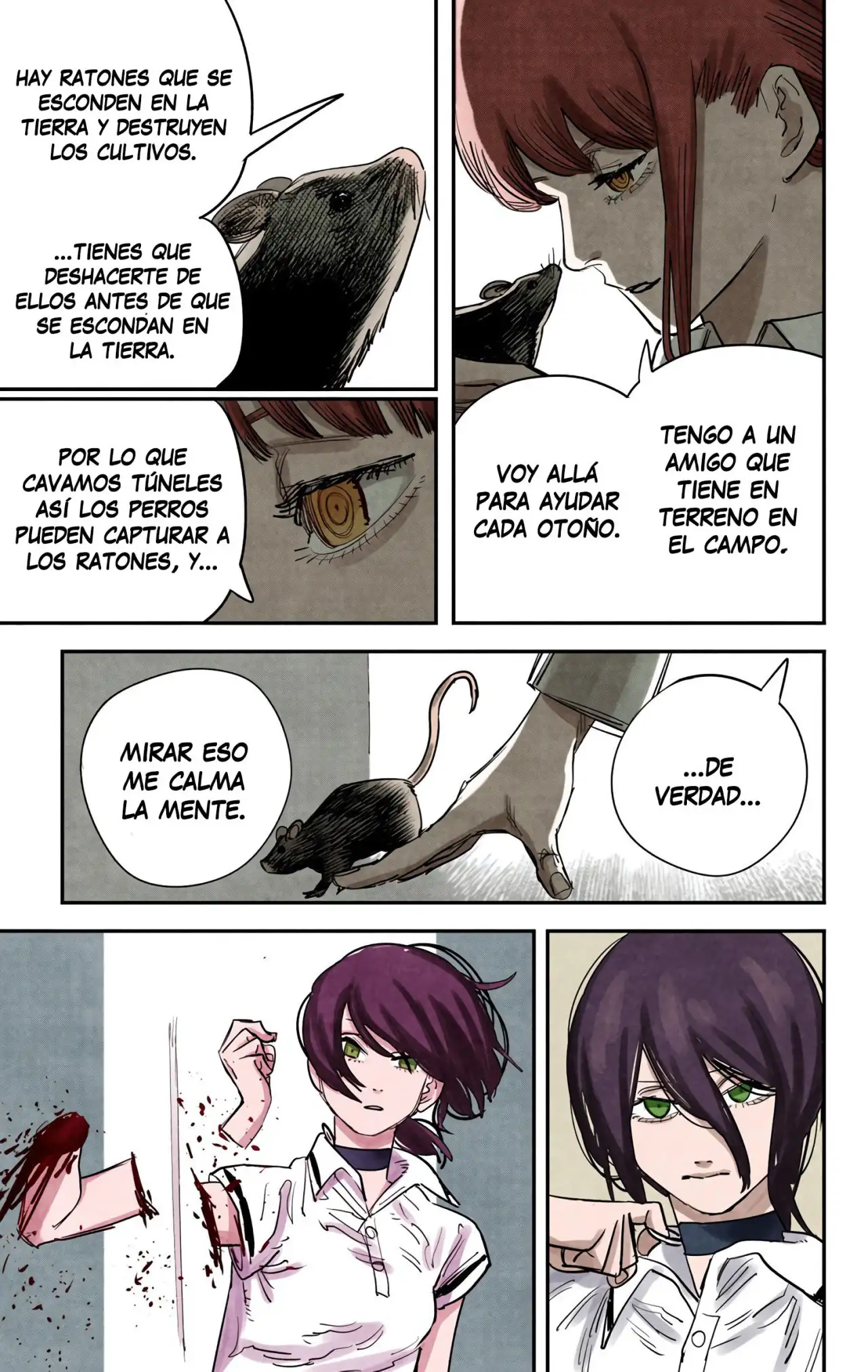 Read Chainsaw Man ES Manga Online