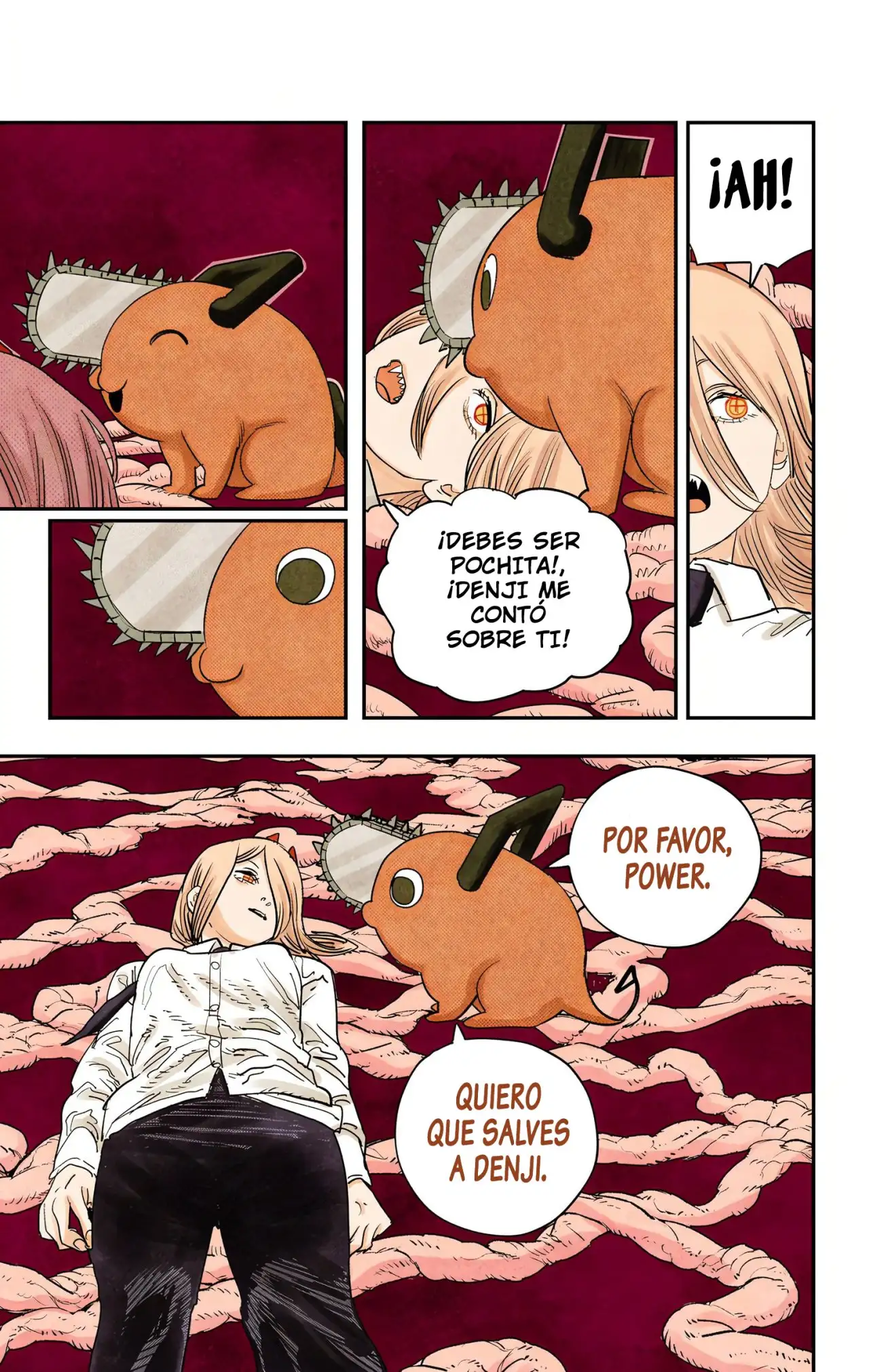 Read Chainsaw Man ES Manga Online