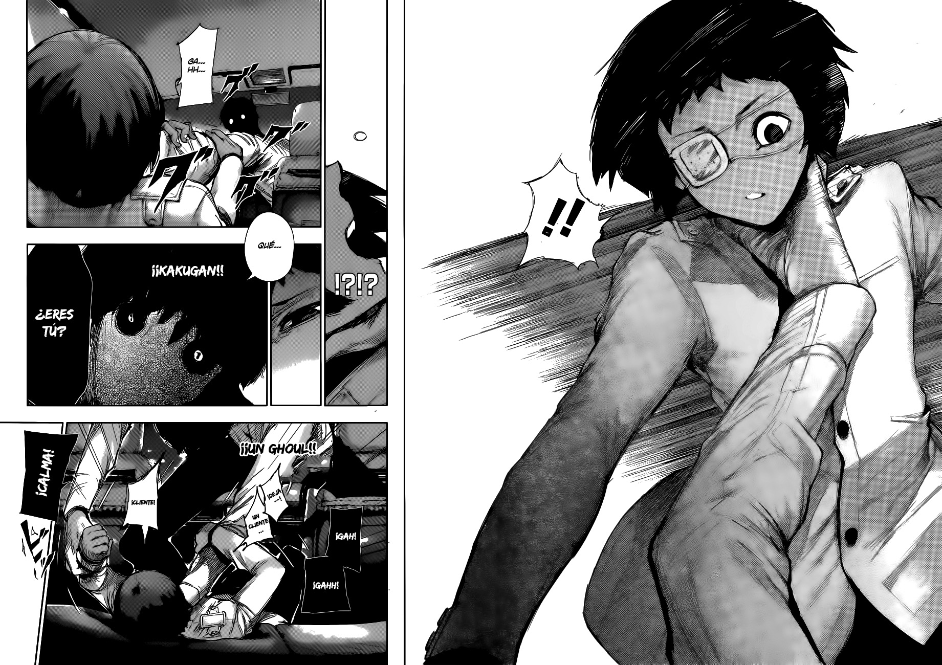 Read Tokyo Ghoul ES Manga Online