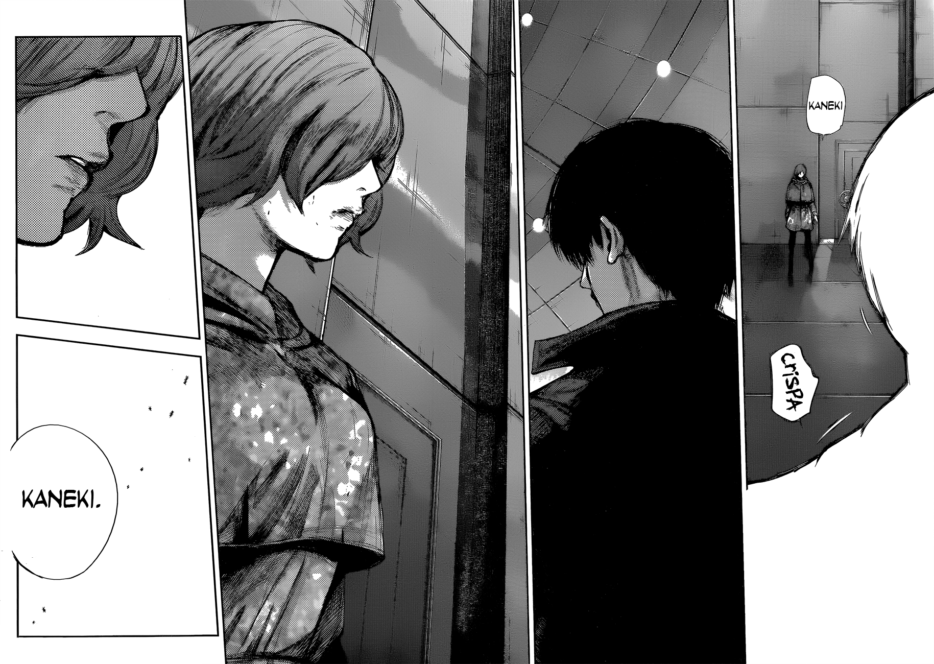 Read Tokyo Ghoul ES Manga Online