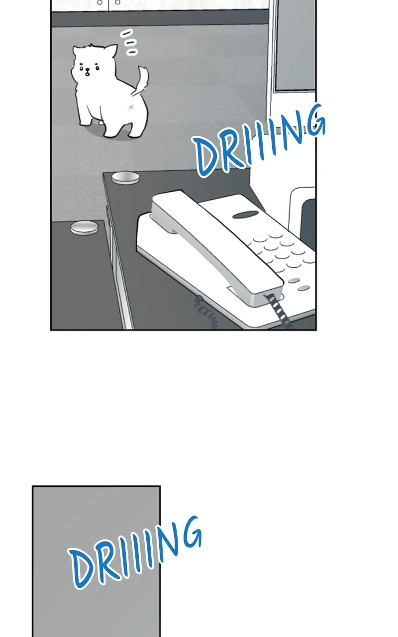 Read Fais-moi humain ! FR Manga Online