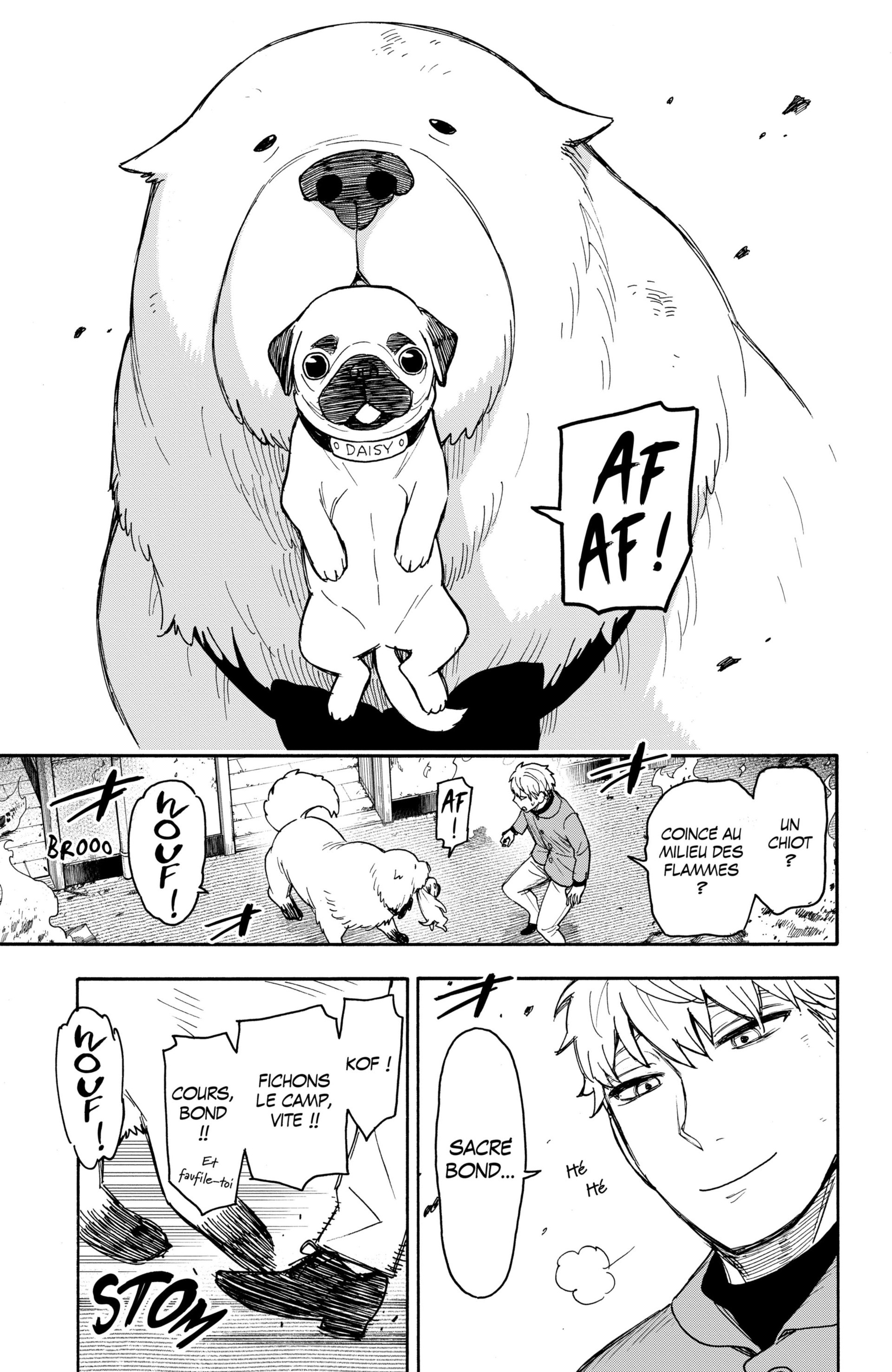Read SPY×FAMILY FR Manga Online