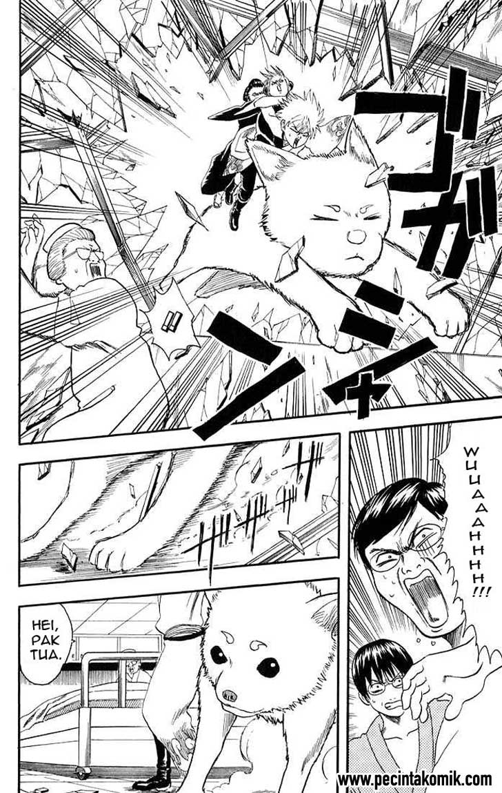 Read Gintama IN Manga Online