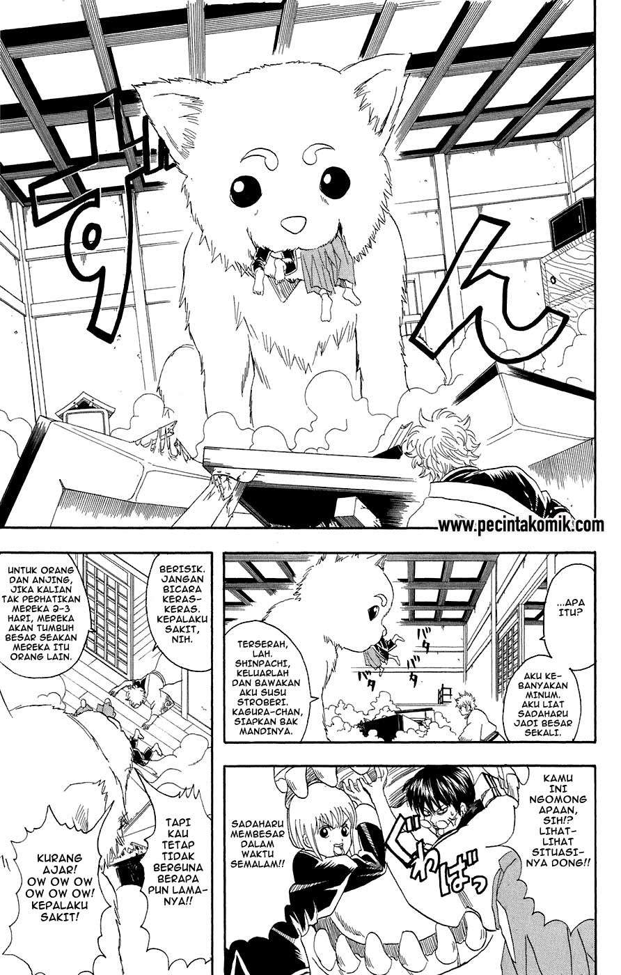 Read Gintama IN Manga Online