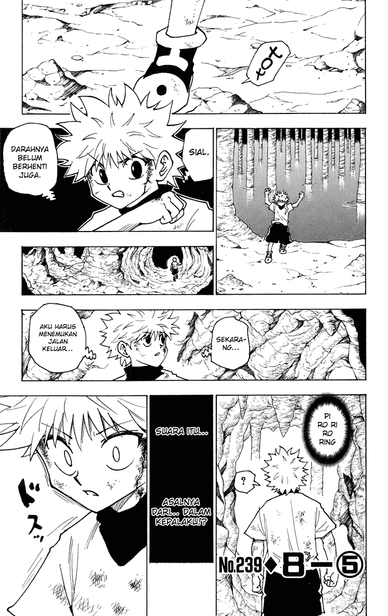 Read Hunter x Hunter ID Manga Online