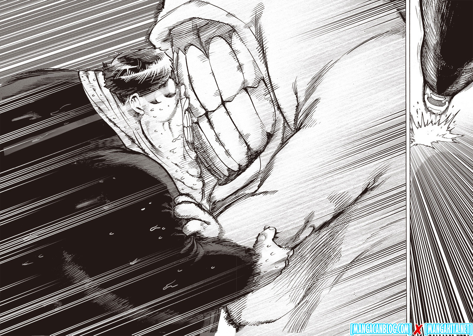 Read One Punch-Man ID Manga Online