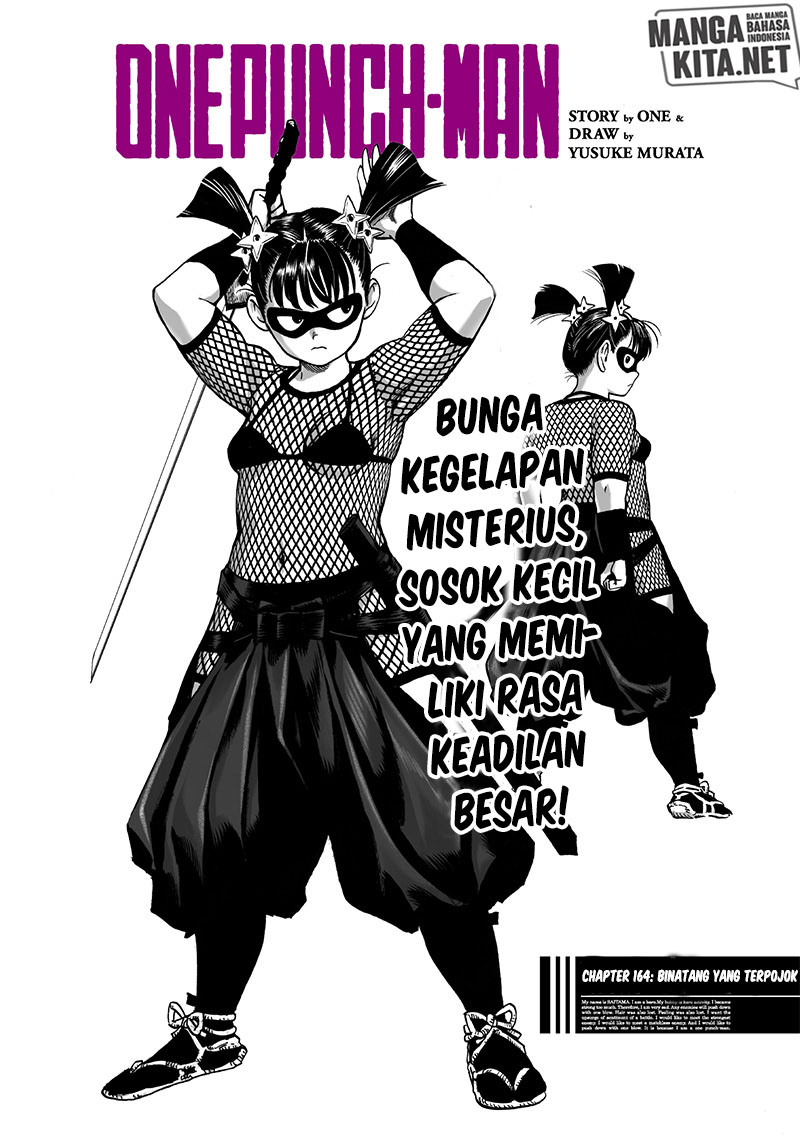 Read One Punch-Man ID Manga Online