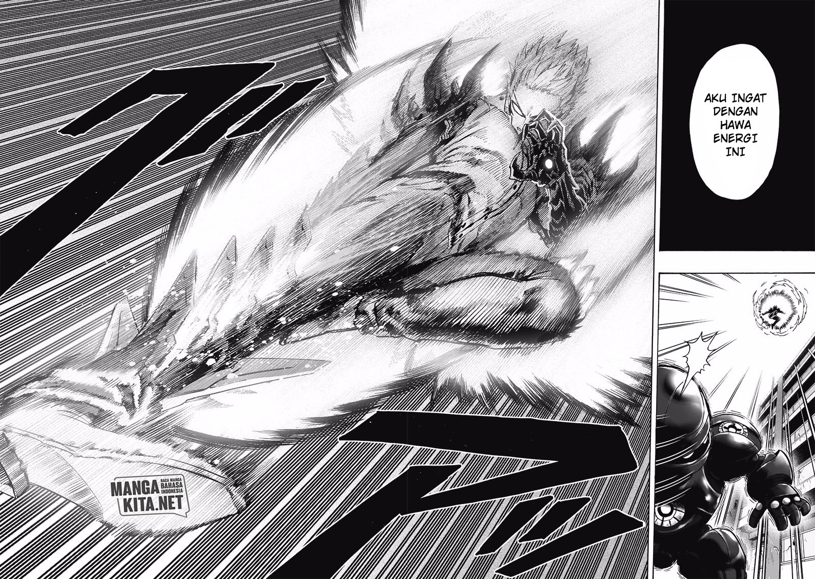 Read One Punch-Man ID Manga Online