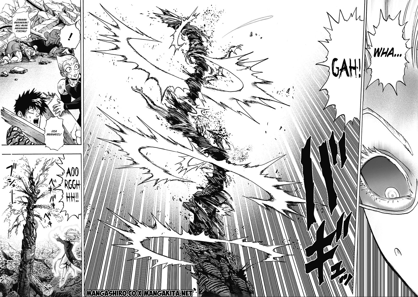 Read One Punch-Man ID Manga Online