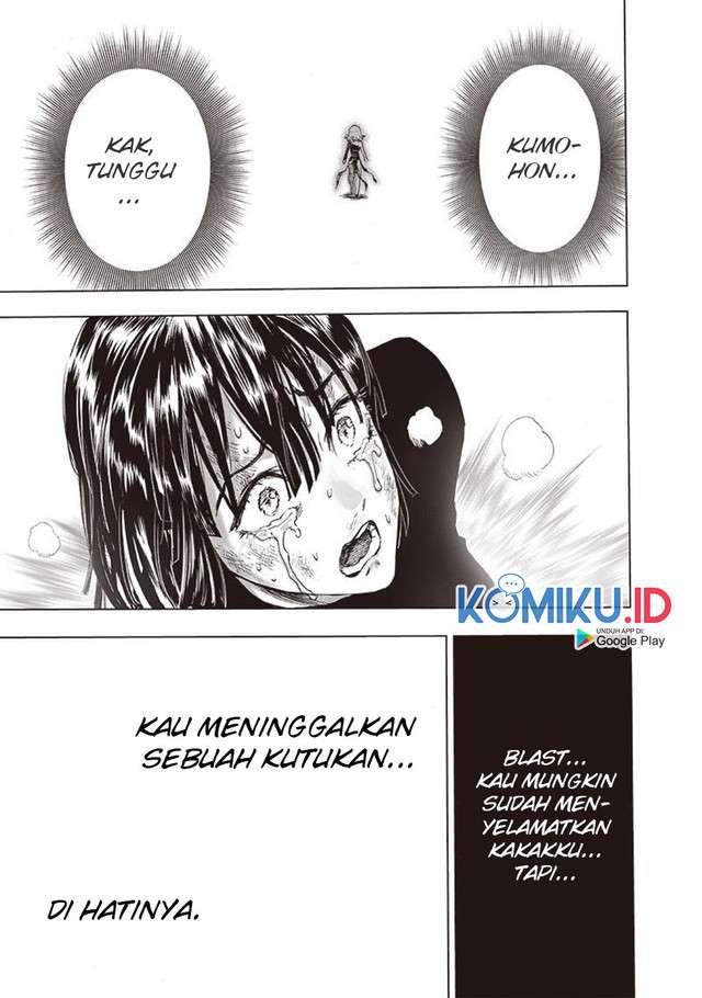 Read One Punch-Man ID Manga Online