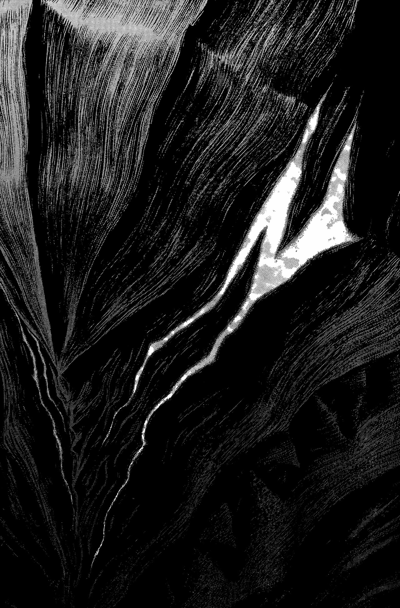 Read Berserk IT Manga Online