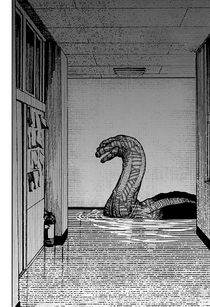 Read Dandadan IT Manga Online
