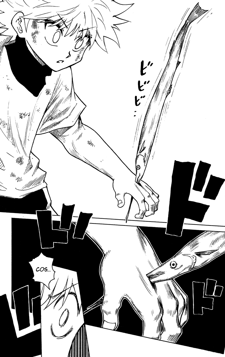Read Hunter x Hunter IT Manga Online