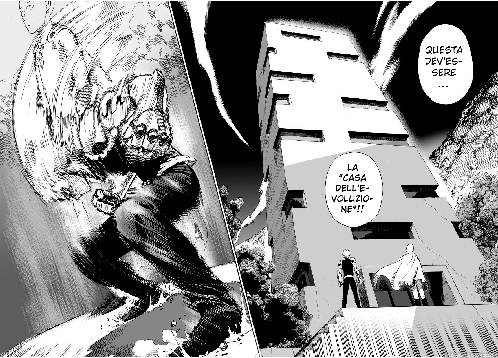 Read One Punch-Man IT Manga Online