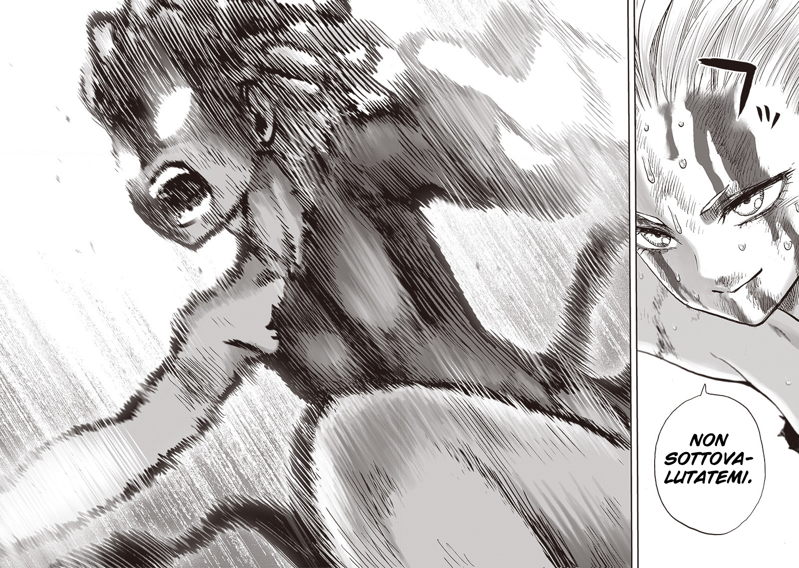 Read One Punch-Man IT Manga Online