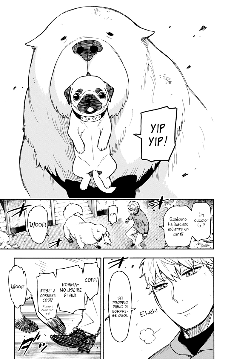 Read Spy X Family IT Manga Online