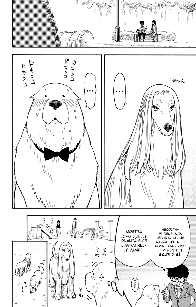 Read Spy X Family IT Manga Online