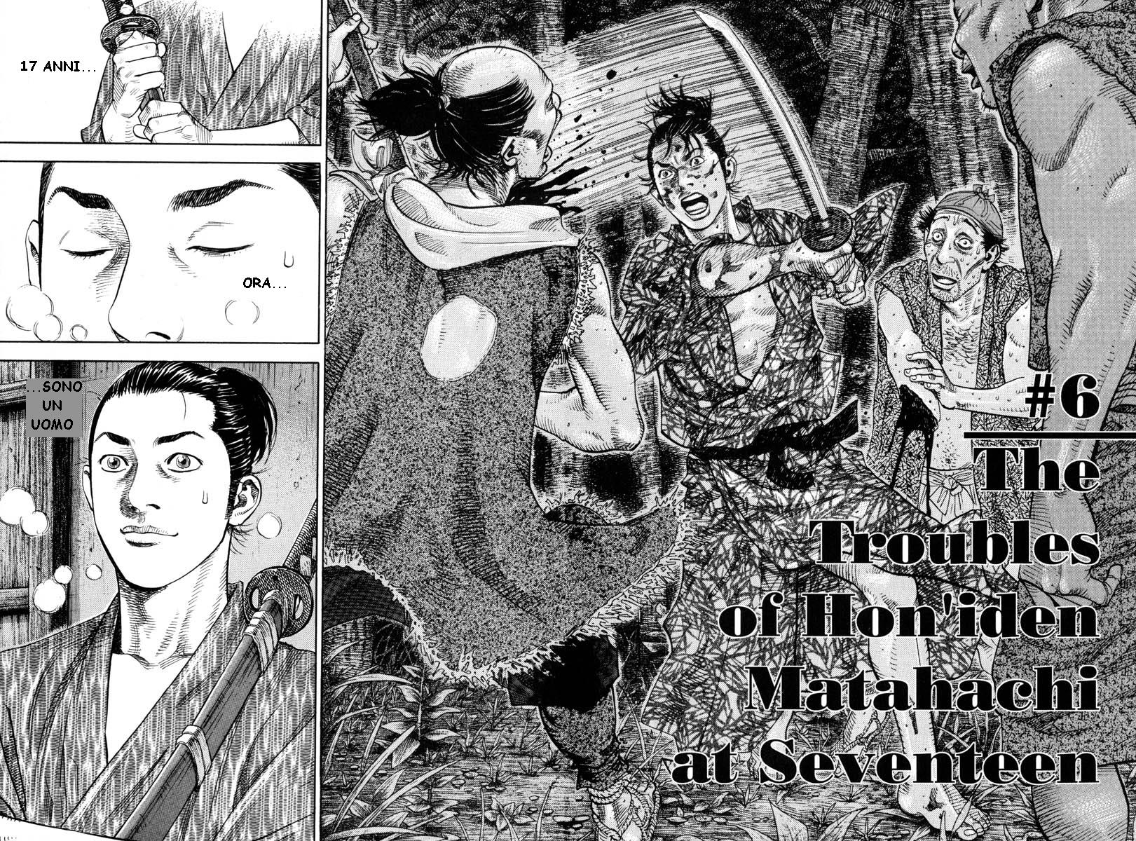 Read Vagabond IT Manga Online