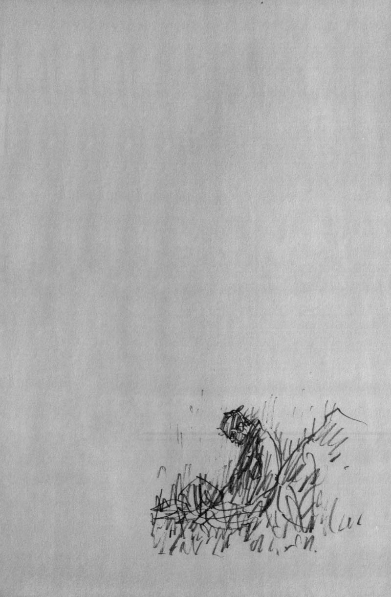 Read Vagabond IT Manga Online