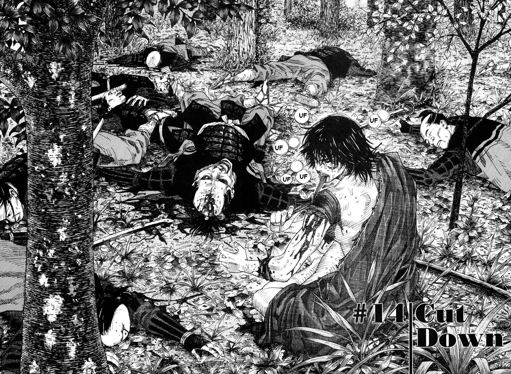 Read Vagabond IT Manga Online