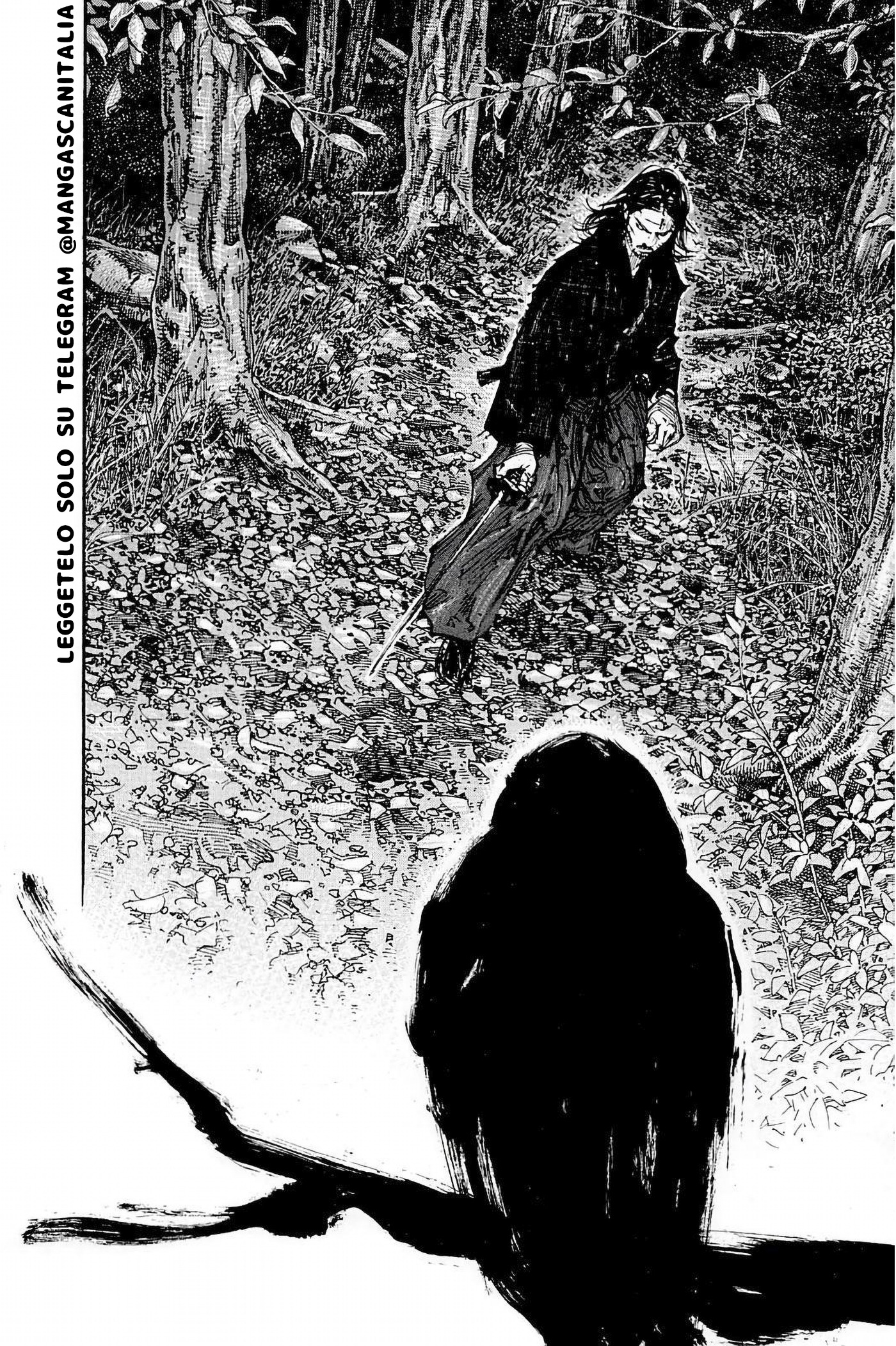 Read Vagabond IT Manga Online