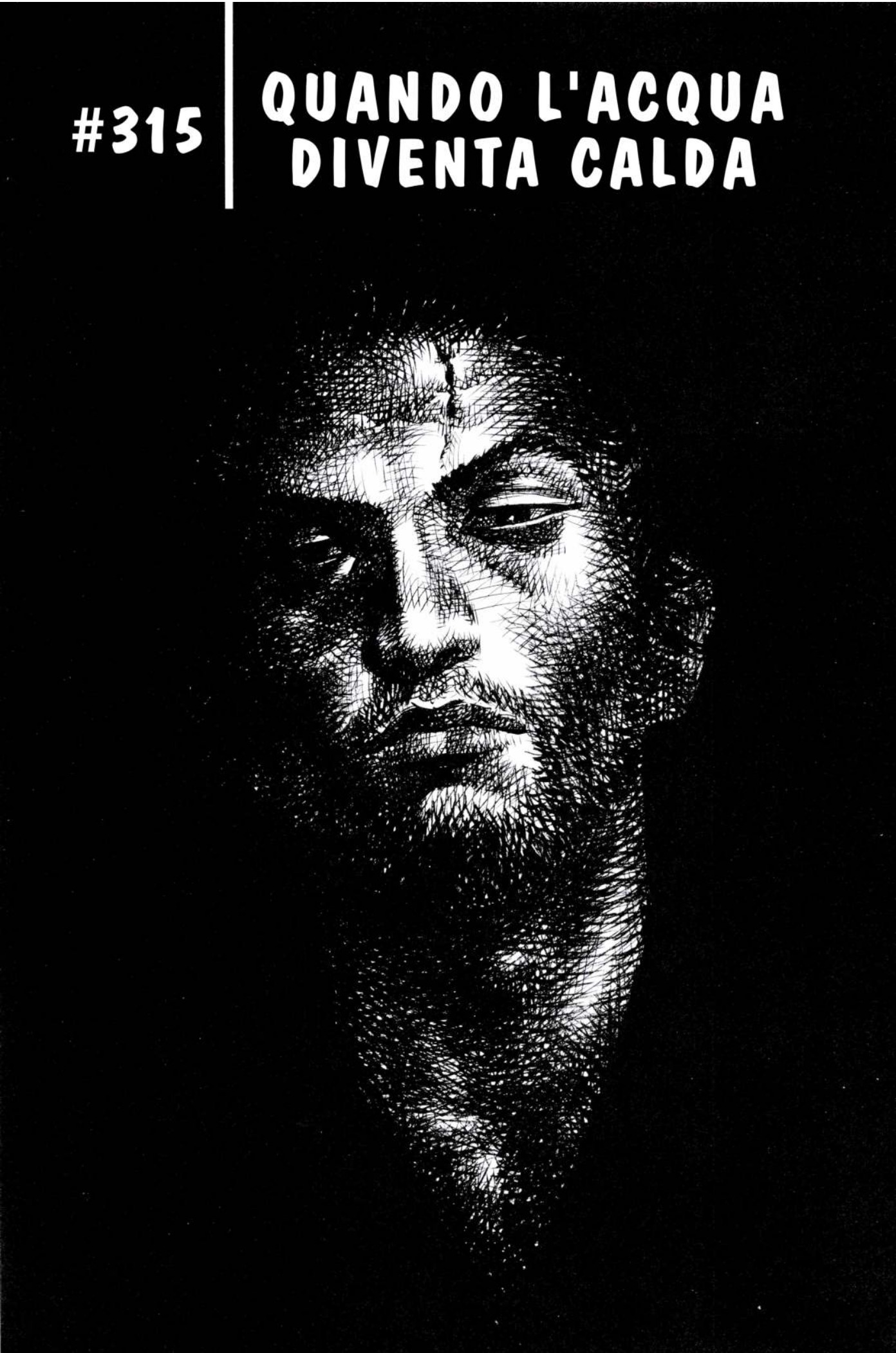 Read Vagabond IT Manga Online