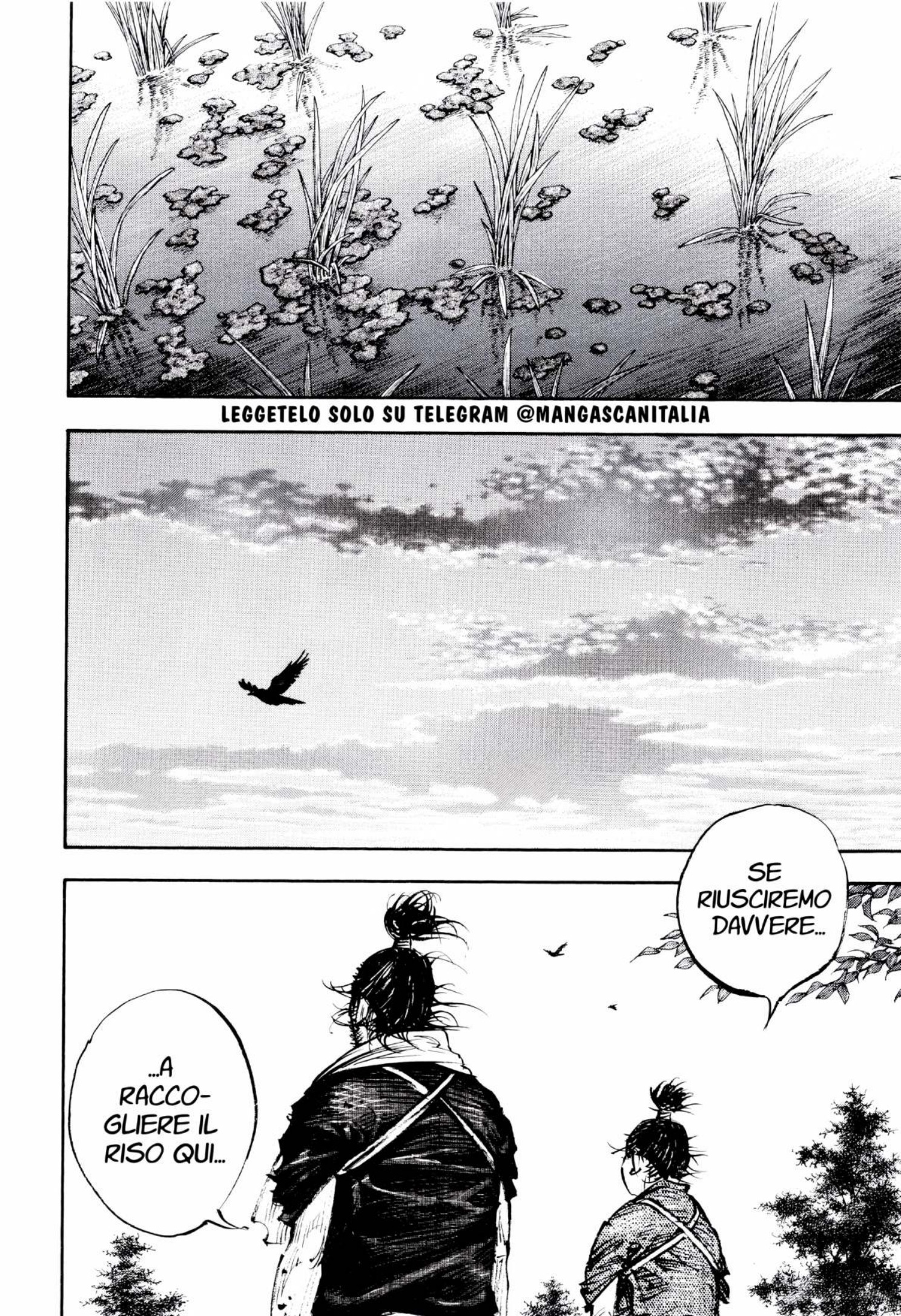 Read Vagabond IT Manga Online