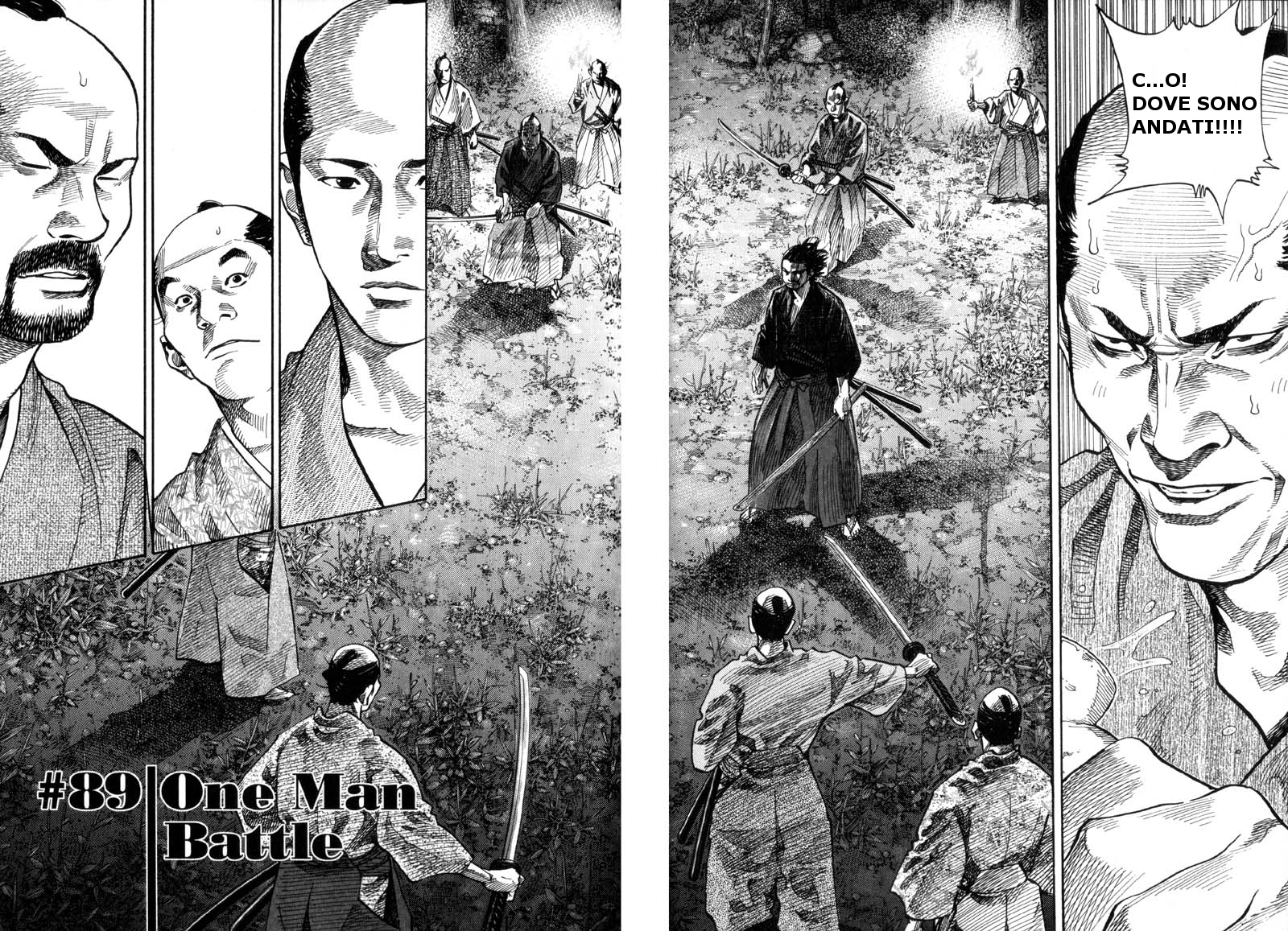 Read Vagabond IT Manga Online