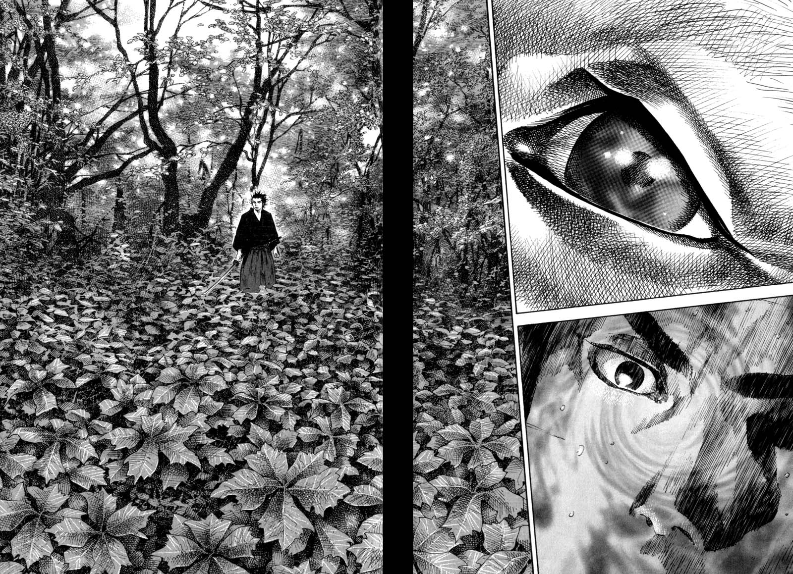 Read Vagabond IT Manga Online